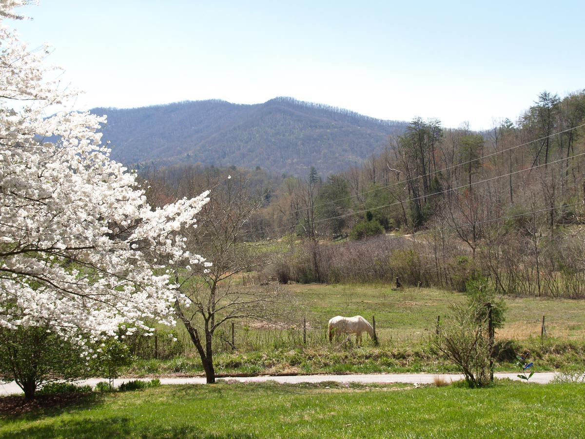 Henson Cove Place Bed And Breakfast W/Cabin Hiawassee Kültér fotó