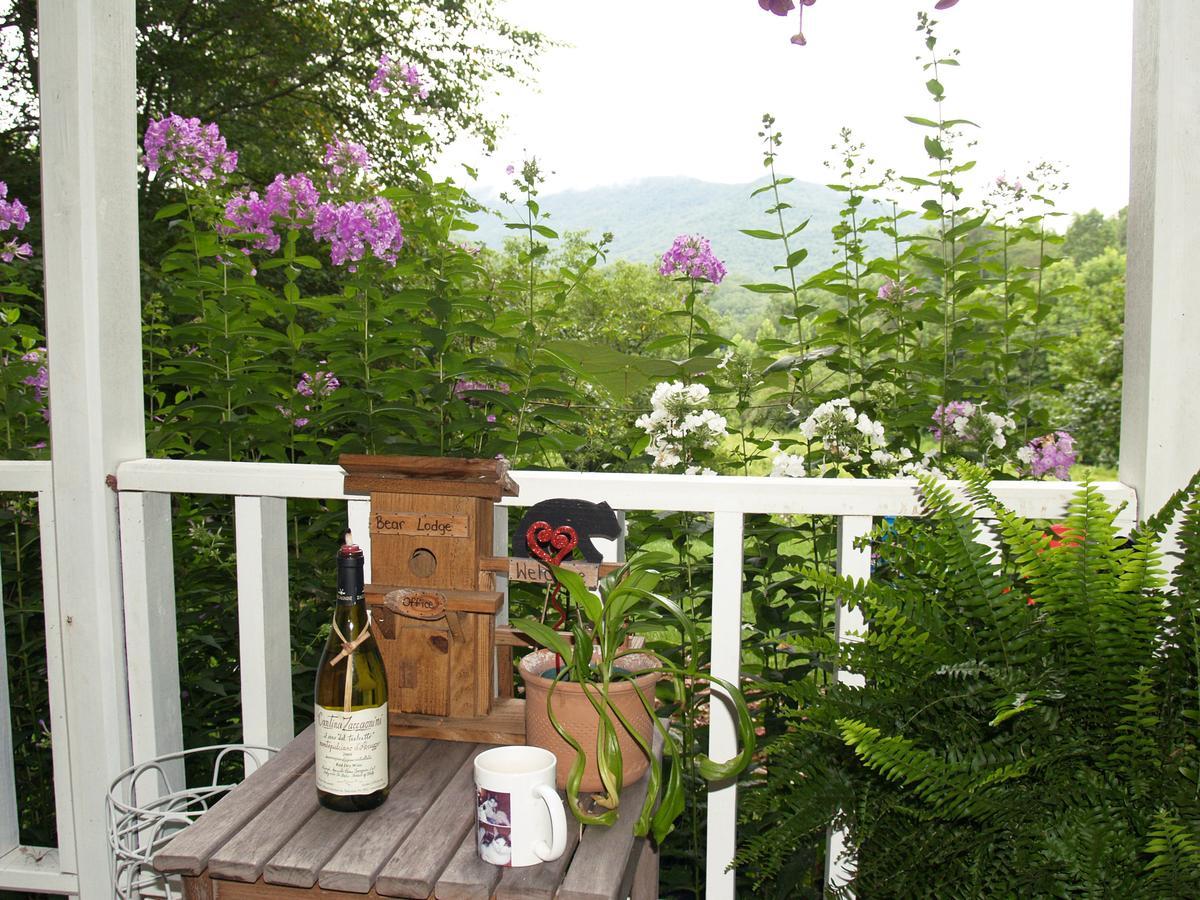 Henson Cove Place Bed And Breakfast W/Cabin Hiawassee Kültér fotó