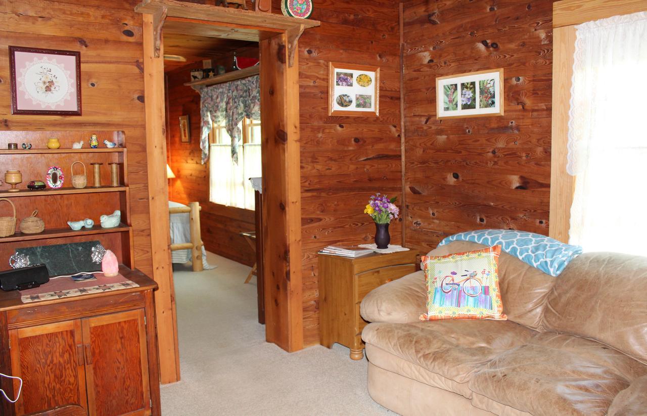 Henson Cove Place Bed And Breakfast W/Cabin Hiawassee Kültér fotó